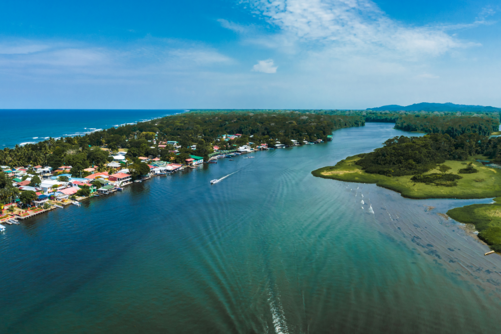 Experience The Magic Night Tours In The Tortuguero National Park