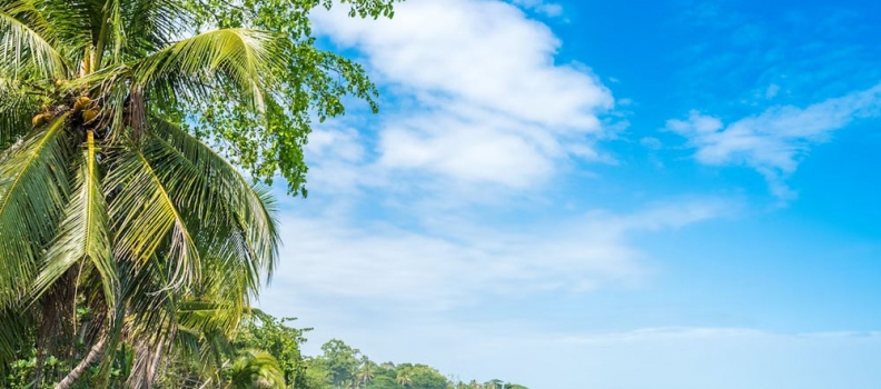 Top 5 beaches to visit in Costa Rica