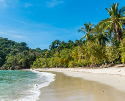 A Guide to Costa Rica’s Best Beaches: Sun, Surf, and Serenity